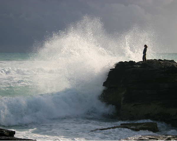 Rocky Shore