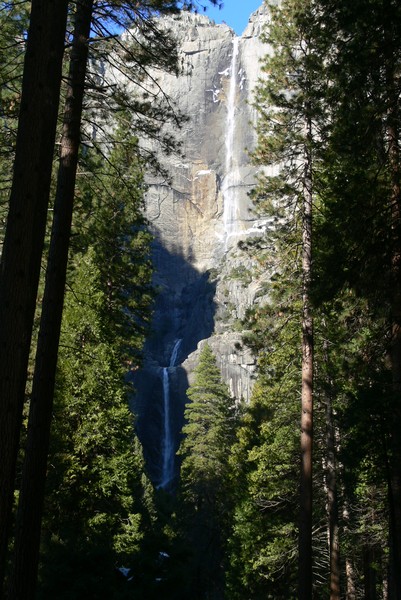 Yosemite Falls 1