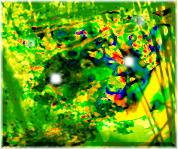 Untitled-Stitched-0 0 FISH