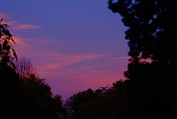 Sky Painting