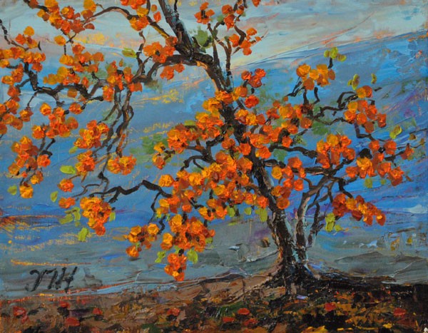 Persimmon.