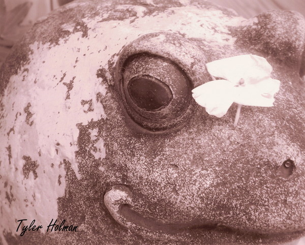 Froggy