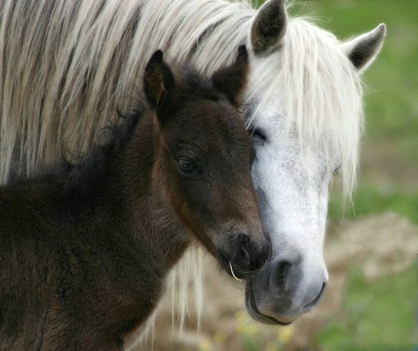 A Mothers Love Says it All
