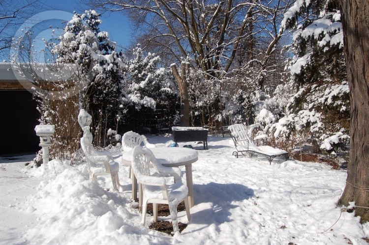 Winter Chairs Waiting for Spring