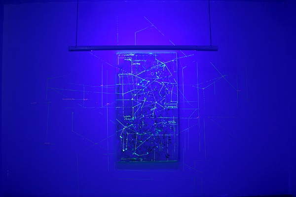 Leila Pugnaloni's work