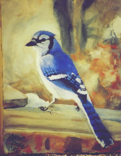 blue jay