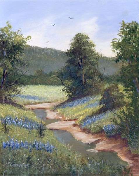 Texas bluebonnet pasture