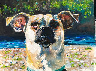 small size pug for icon watercolor penny puppy