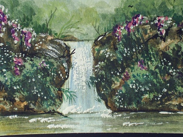 blossom falls