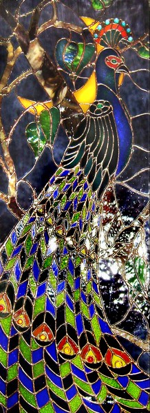 Peacock stained glass...