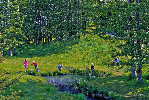 Children looking for bait !