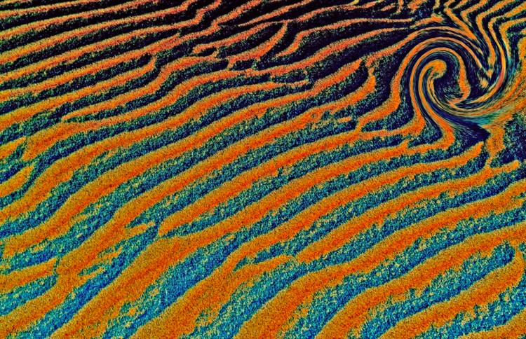 Safari texture.