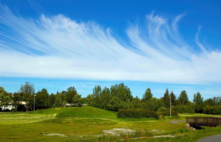 Icelandic summer.