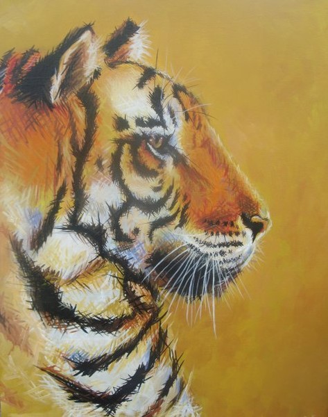 Scruffy Tiger