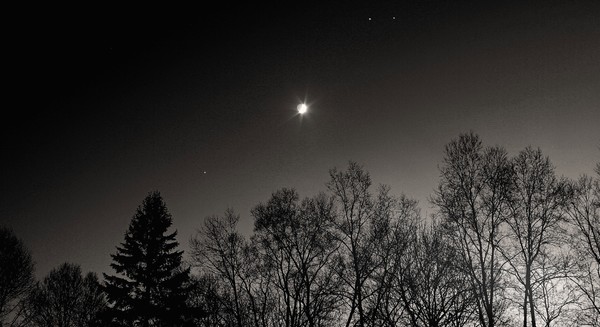 moon over yard