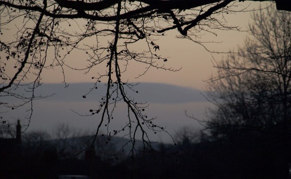 Irish View