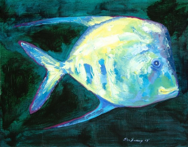 Pompoa Fish