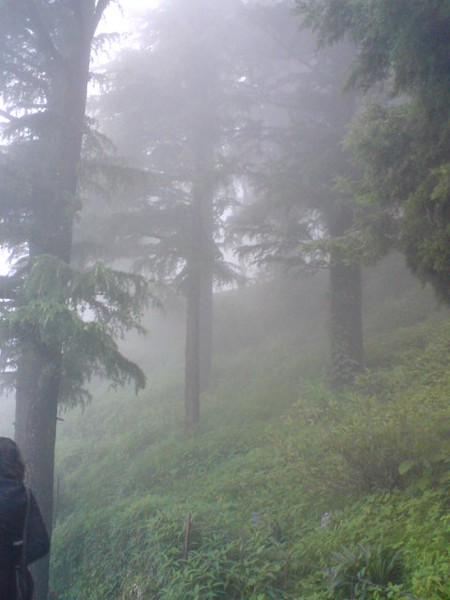 In the mist we drift