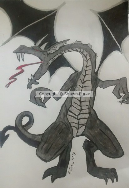 Gray Dragon