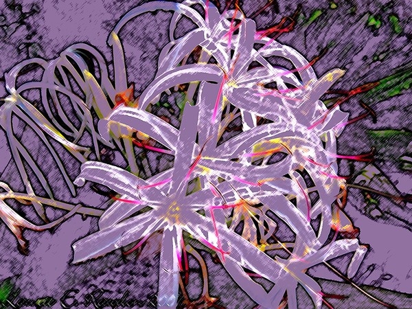 Fireworks in the Sky