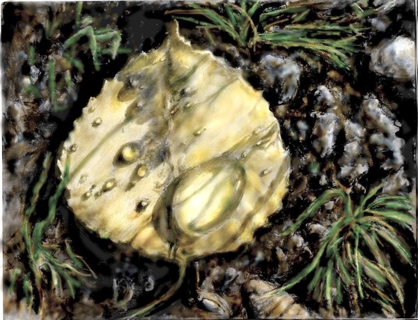 drops of gold