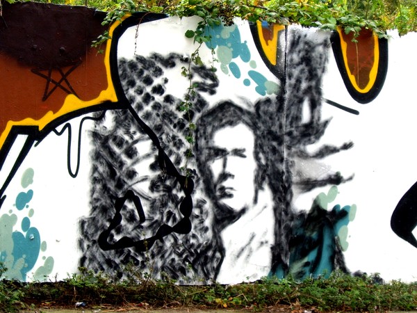 Gardin Kunst #1 - Curtain Art #1