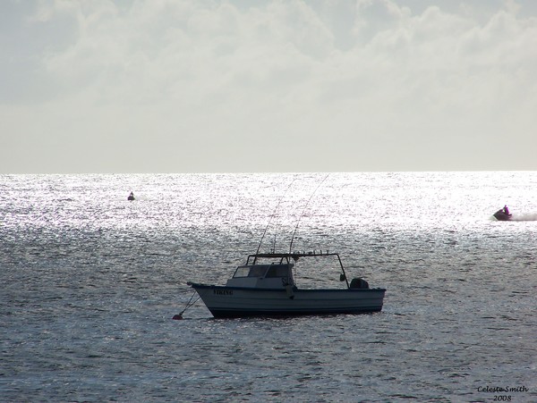 A day at sea
