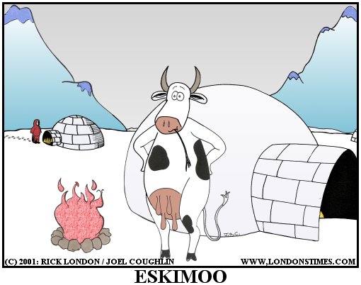 Eskimoo