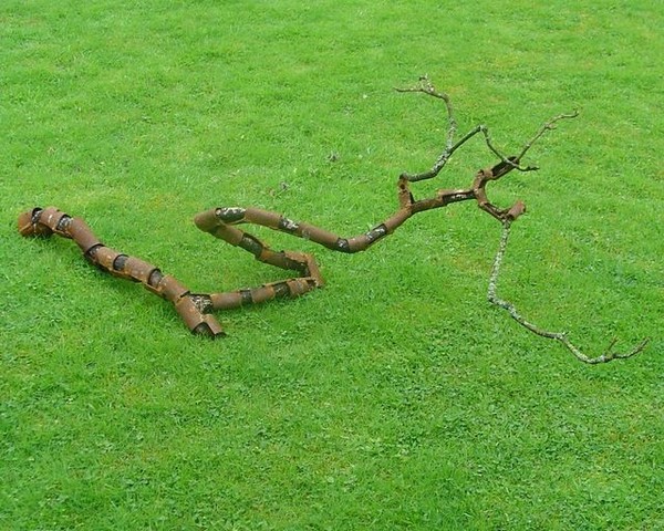 iron branch