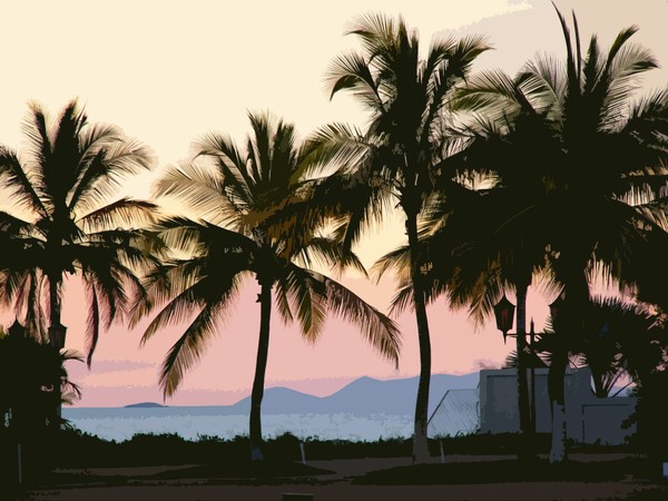 Palms@the Strand
