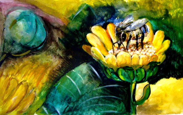 Honey Bee