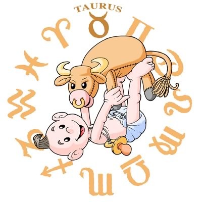 Baby Boy Taurus