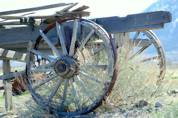 WagonWheelColor