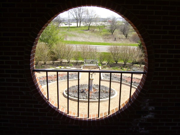 Looking out the Window 