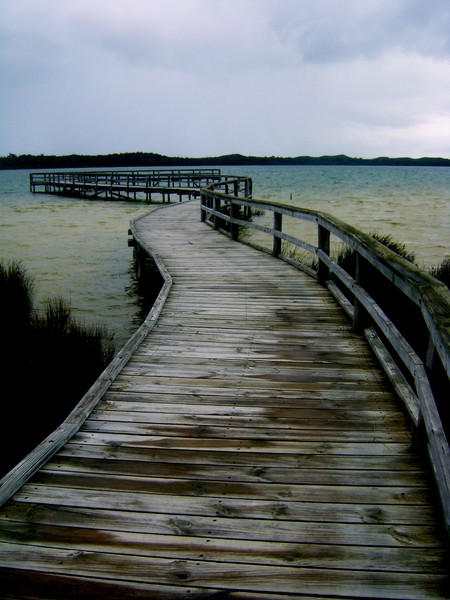 Boardwalk in Australia