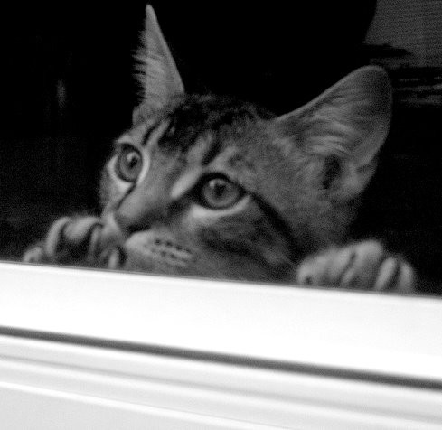 Longing for Lost Friend