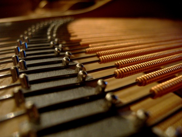 Inside the Grand - 3