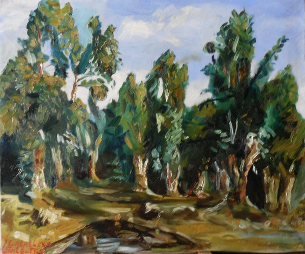 Eucaliptus of the river Guadalete