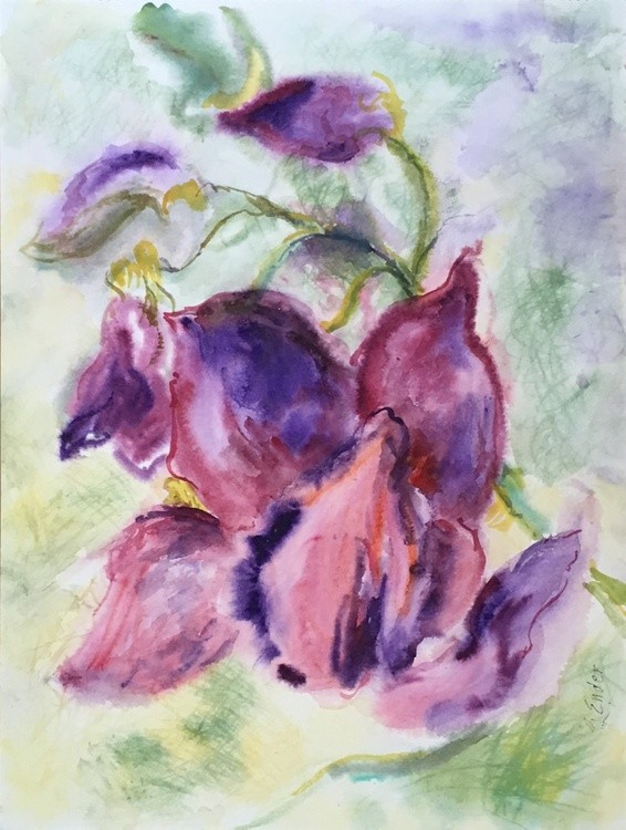 Purple Flowers