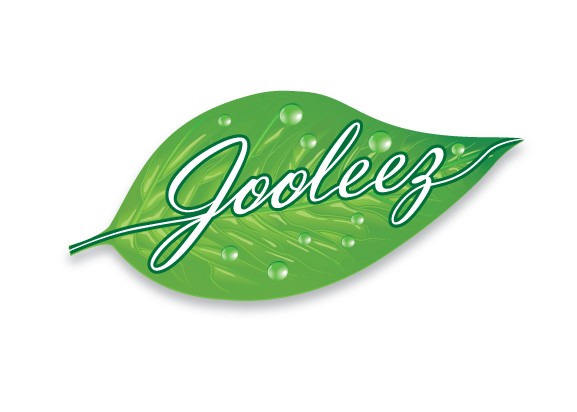Jooleez Handbags logo