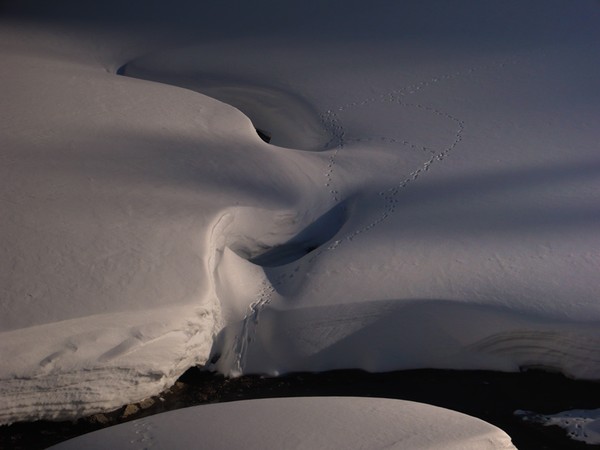 Geometry of snow