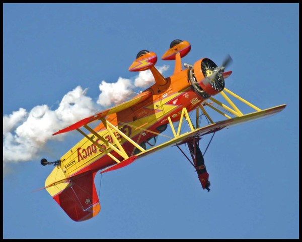 WING WALKER