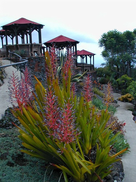 Kula Gardens