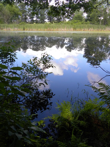 Reflections