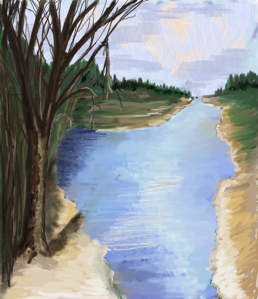 Looking up stream