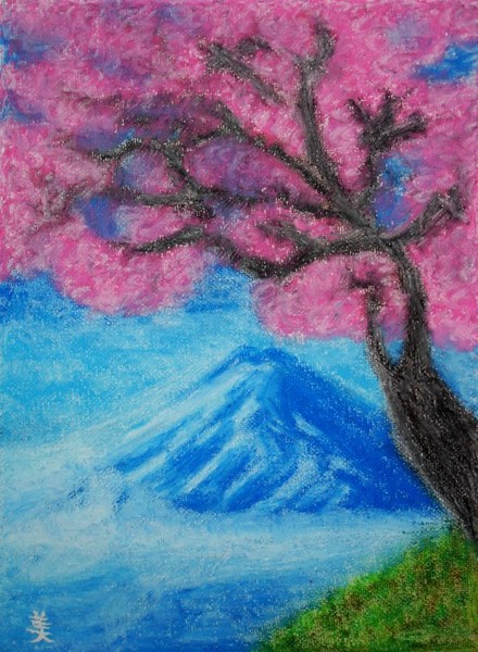 The Season of  Sakura