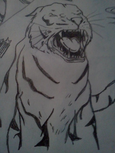  life of pi tiger 