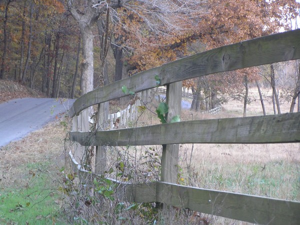 Don't Fence Me In