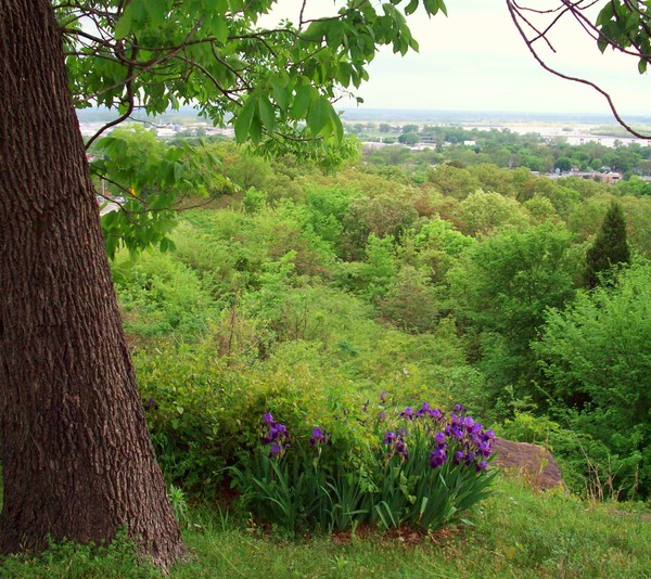 River Valley Vista
