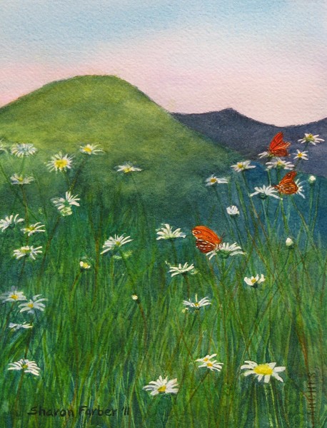 Daisies and Butterflies
